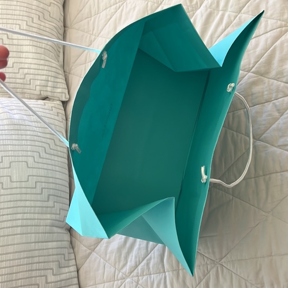 Tiffany & Company Shopping Gift Bag tote - Picture 7 of 16